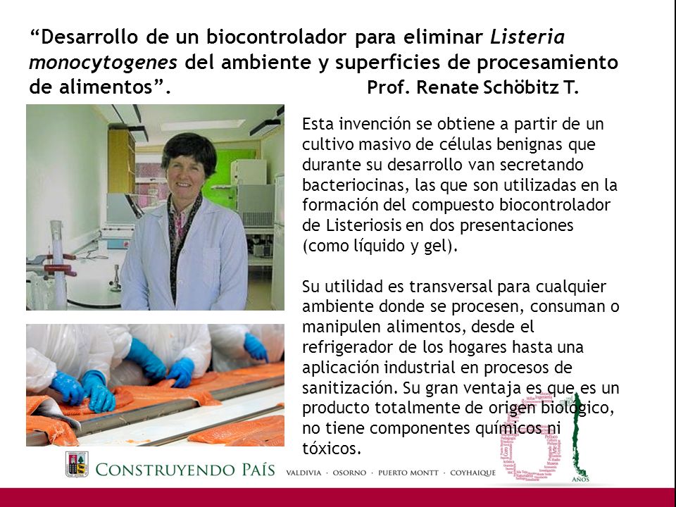 Desarrollo de un biocontrolador para eliminar Listeria monocytogenes del ambiente y superficies de procesamiento de alimentos . Prof. Renate Schöbitz T.