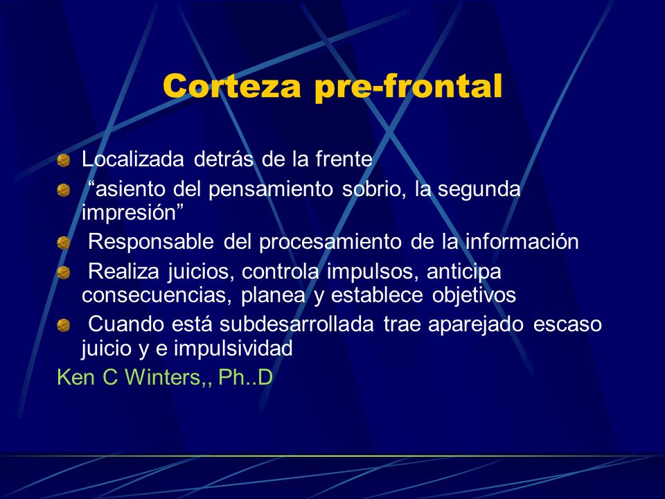 Corteza pre-frontal Localizada detrás de la frente