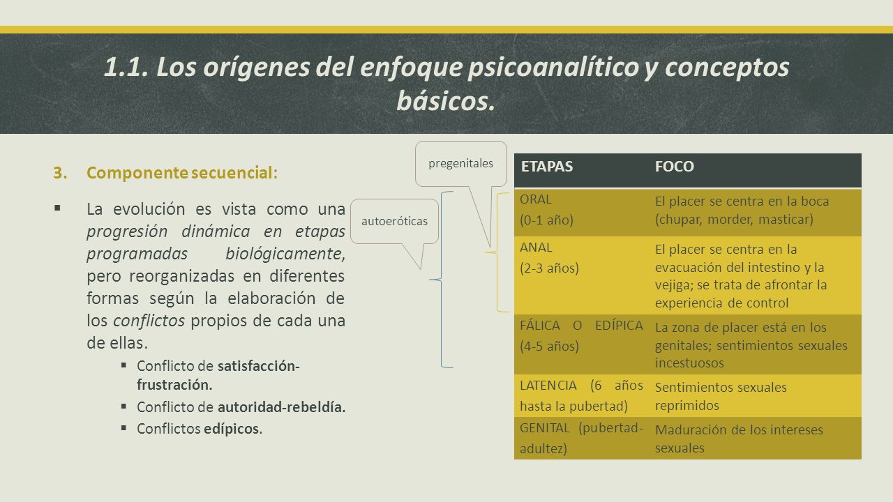 1.1. Los orígenes del enfoque psicoanalítico y conceptos básicos.
