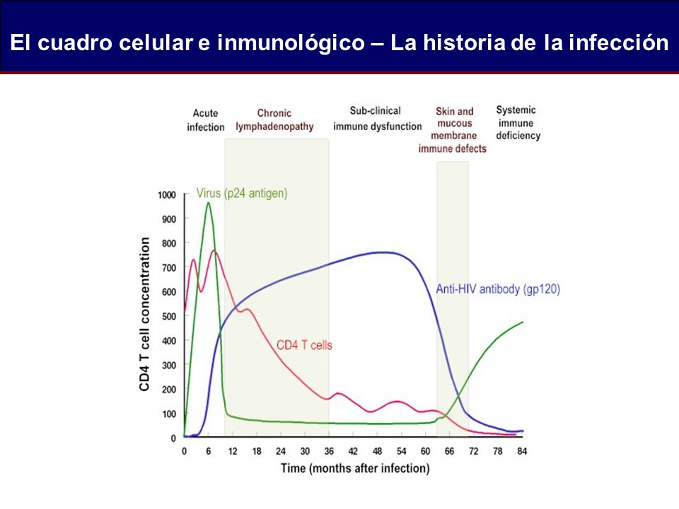 El cuadro celular e inmunológico – La historia de la infección