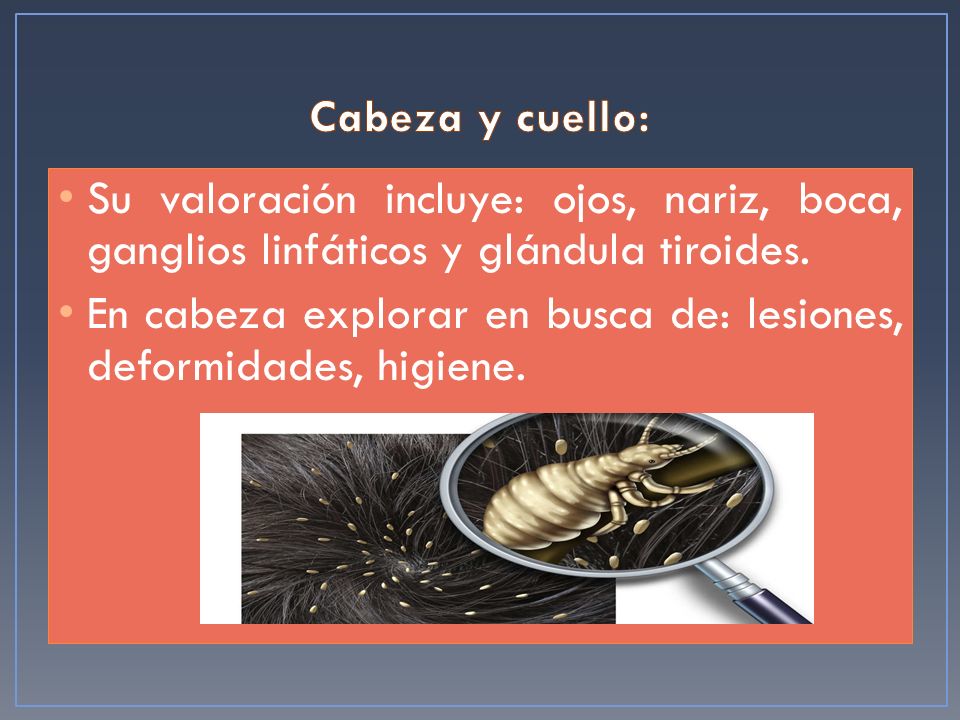 Cabeza y cuello: Su valoración incluye: ojos, nariz, boca, ganglios linfáticos y glándula tiroides.
