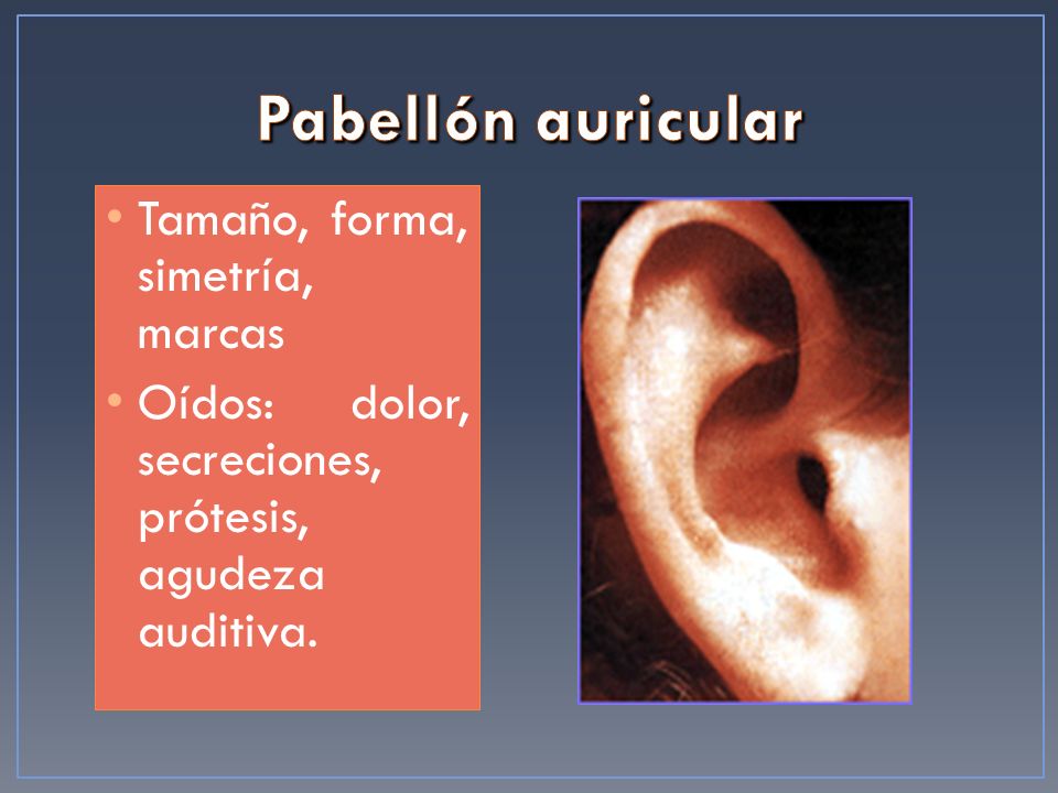 Pabellón auricular Tamaño, forma, simetría, marcas