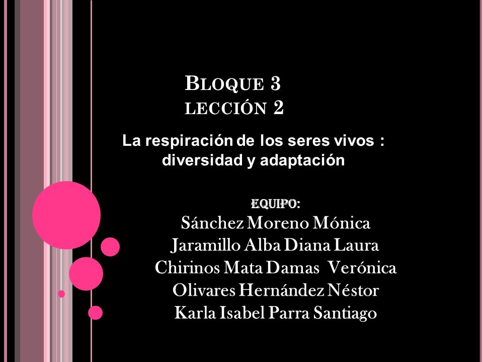 La respiración de los seres vivos : diversidad y adaptación