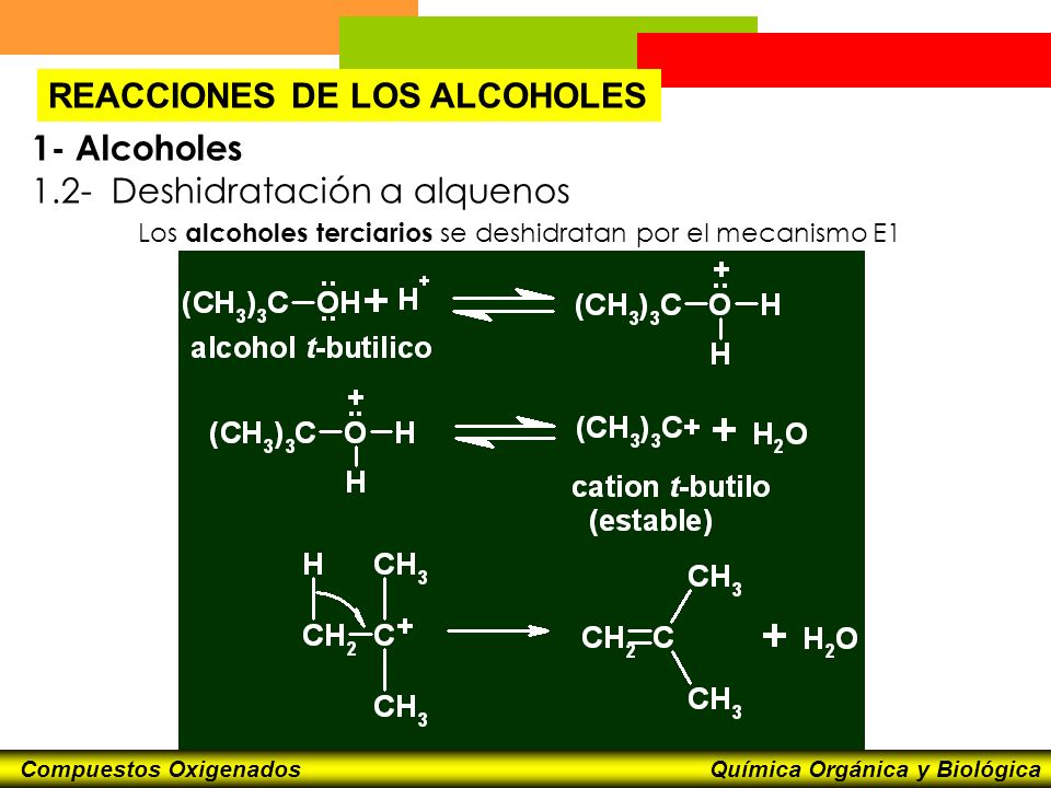 Los alcoholes terciarios se deshidratan por el mecanismo E1