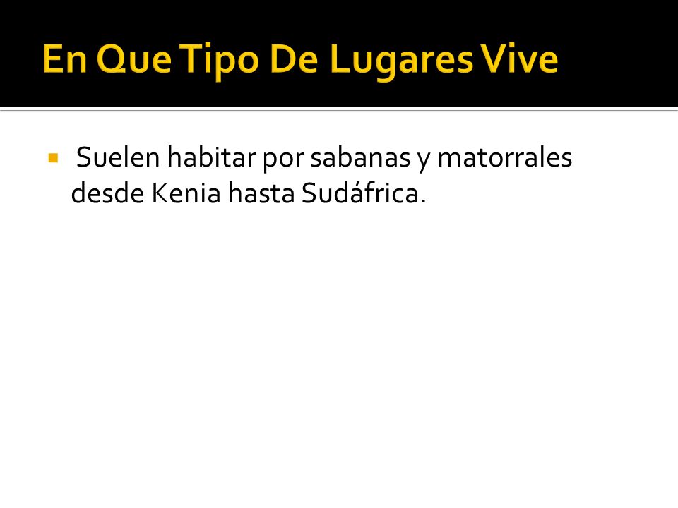 En Que Tipo De Lugares Vive
