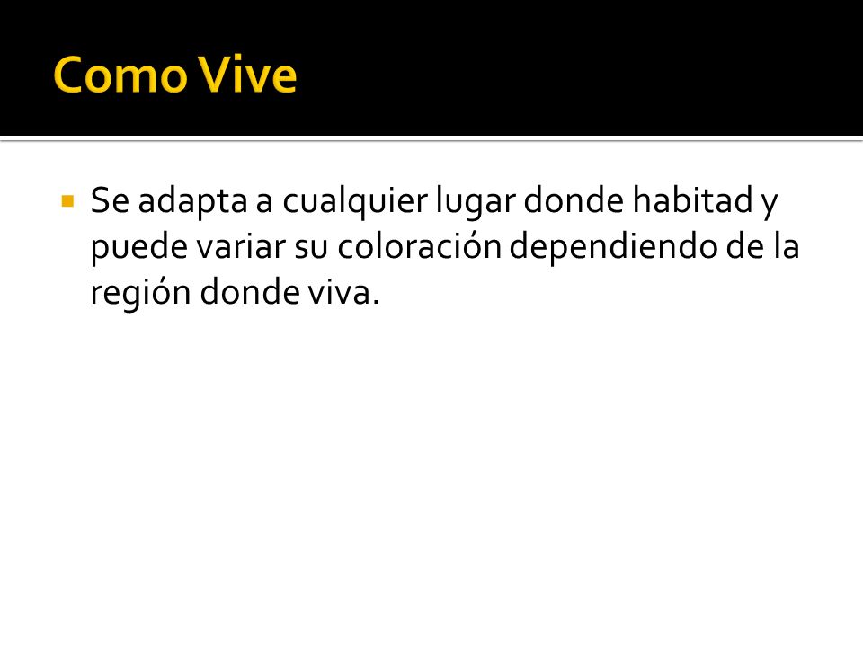 Como Vive Se adapta a cualquier lugar donde habitad y puede variar su coloración dependiendo de la región donde viva.