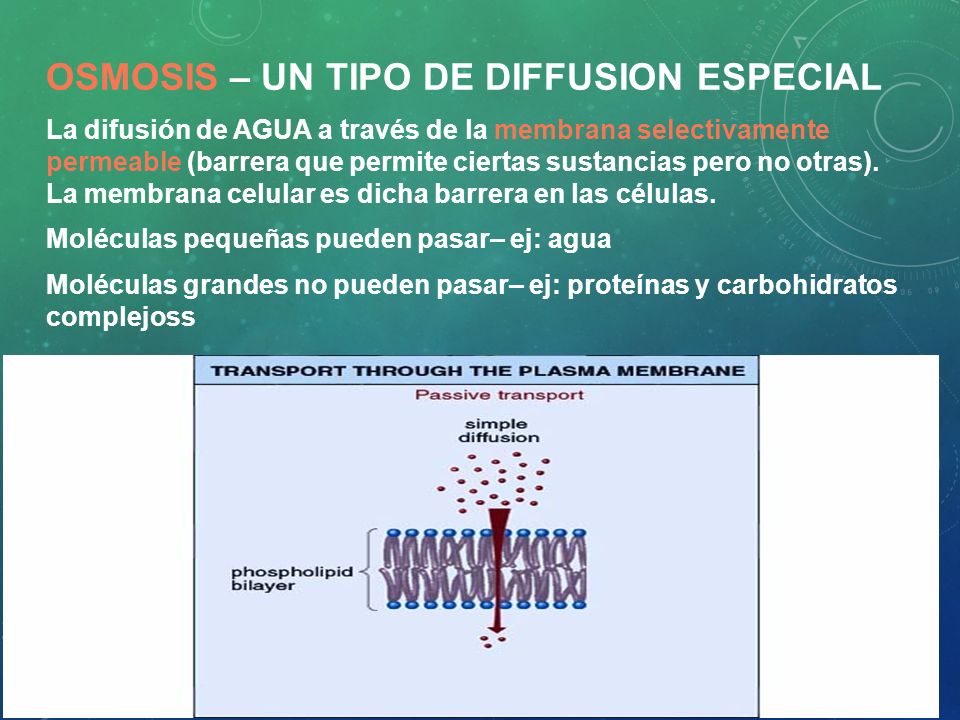 Osmosis – un tipo de diffusion especial