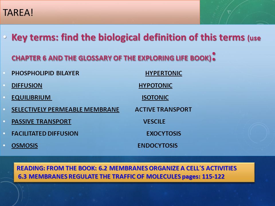 TAREA! Key terms: find the biological definition of this terms (use CHAPTER 6 AND THE GLOSSARY OF THE EXPLORING LIFE BOOK):