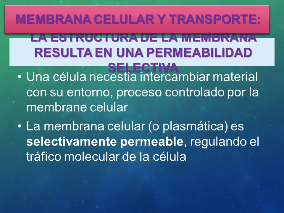 La estructura de la Membrana resulta en una permeabilidad selectiva