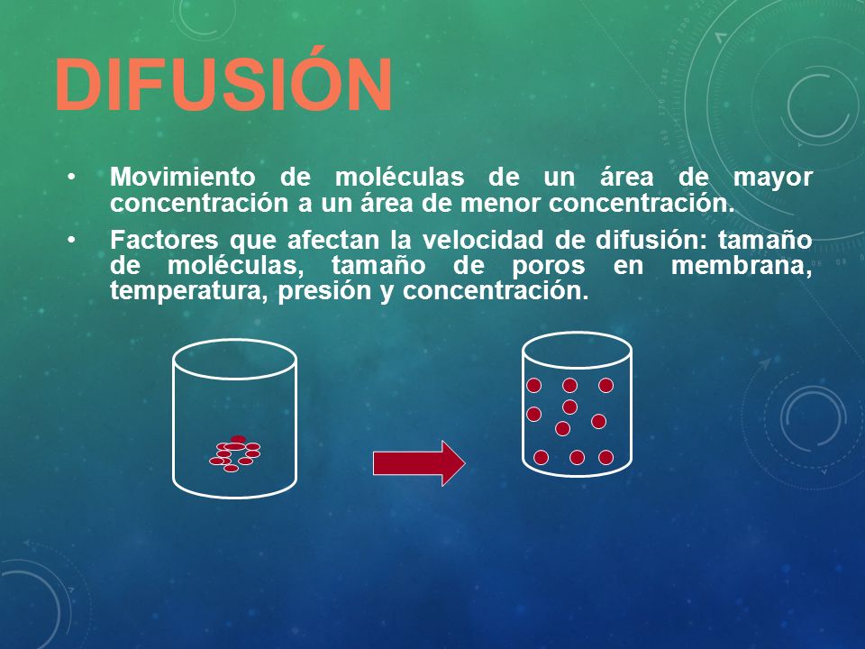 Difusión Movimiento de moléculas de un área de mayor concentración a un área de menor concentración.