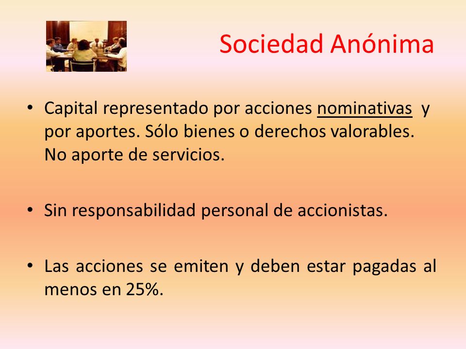 Sociedad Anónima Capital representado por acciones nominativas y por aportes. Sólo bienes o derechos valorables. No aporte de servicios.