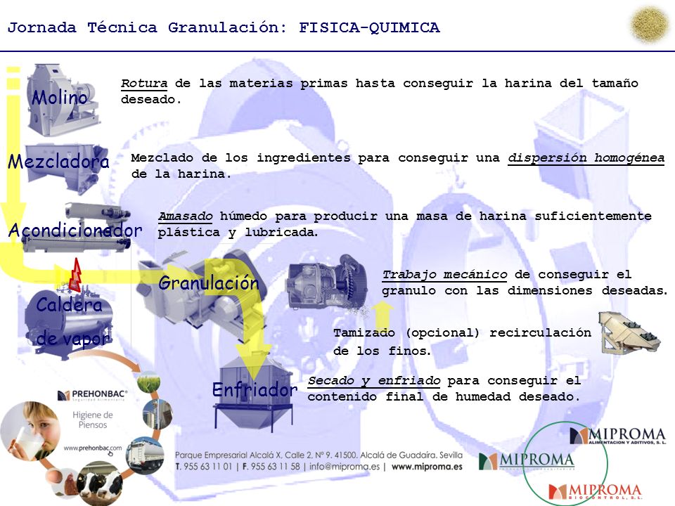 Molino Mezcladora Acondicionador Granulación Caldera de vapor