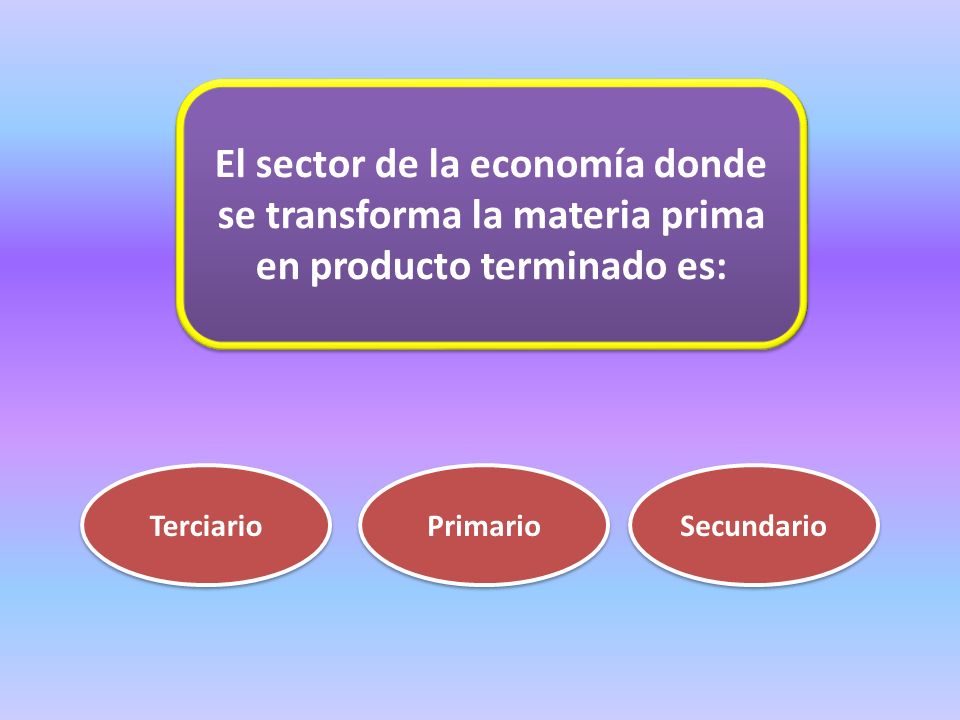 El sector de la economía donde se transforma la materia prima en producto terminado es: