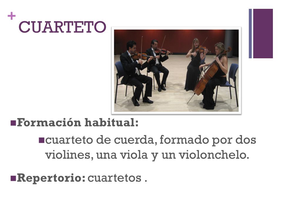 CUARTETO Formación habitual: cuarteto de cuerda, formado por dos violines, una viola y un violonchelo.