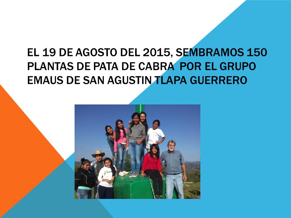 EL 19 DE AGOSTO DEL 2015, SEMBRAMOS 150 PLANTAS DE PATA DE CABRA POR EL GRUPO EMAUS DE SAN AGUSTIN TLAPA GUERRERO