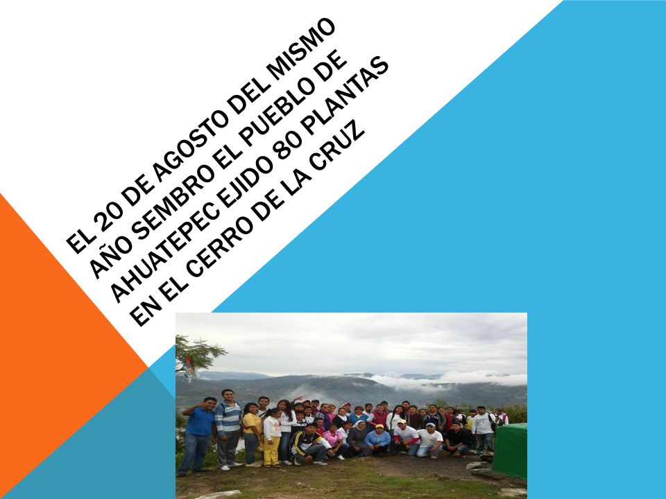 EL 20 DE AGOSTO DEL MISMO AÑO SEMBRO EL PUEBLO DE AHUATEPEC EJIDO 80 PLANTAS EN EL CERRO DE LA CRUZ