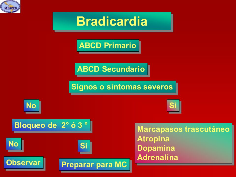Bradicardia ABCD Primario ABCD Secundario Signos o síntomas severos No
