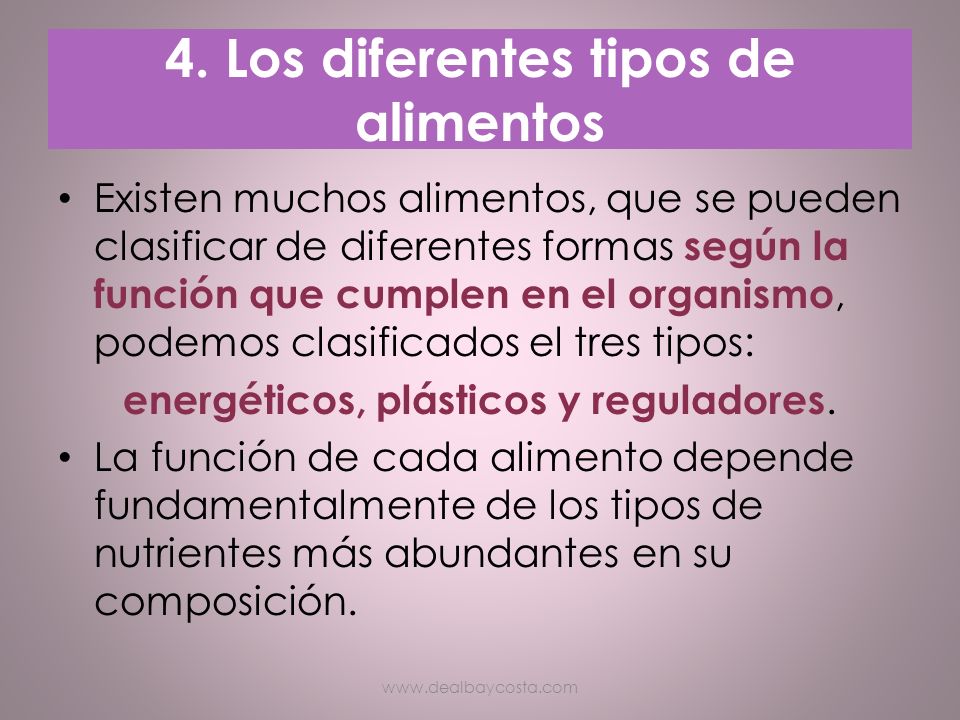 4. Los diferentes tipos de alimentos