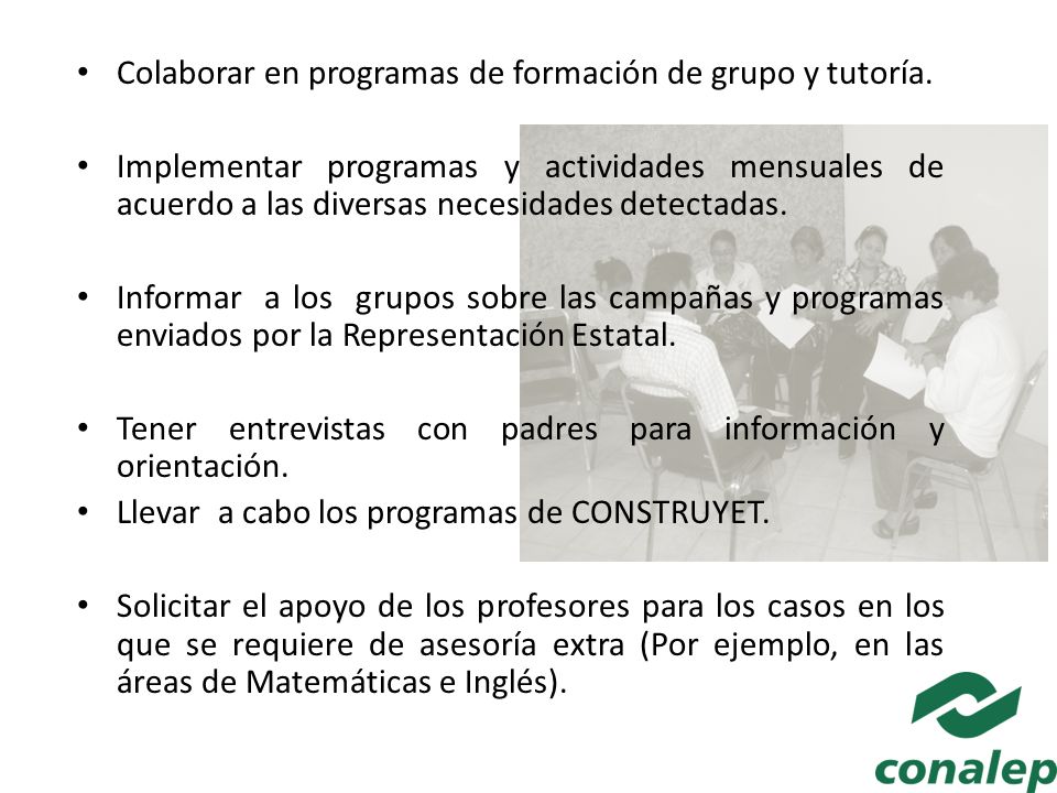 Colaborar en programas de formación de grupo y tutoría.
