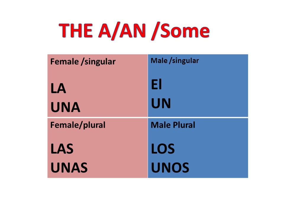 THE A/AN /Some LA UNA El UN LAS UNAS LOS UNOS Female /singular