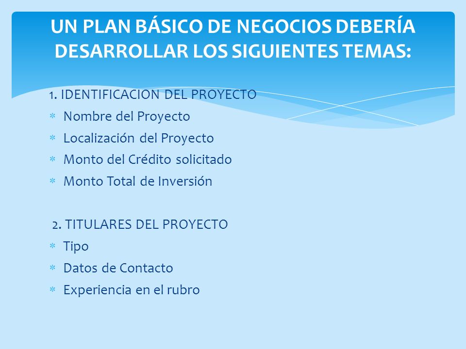 Un Plan básico de Negocios debería desarrollar los siguientes temas: