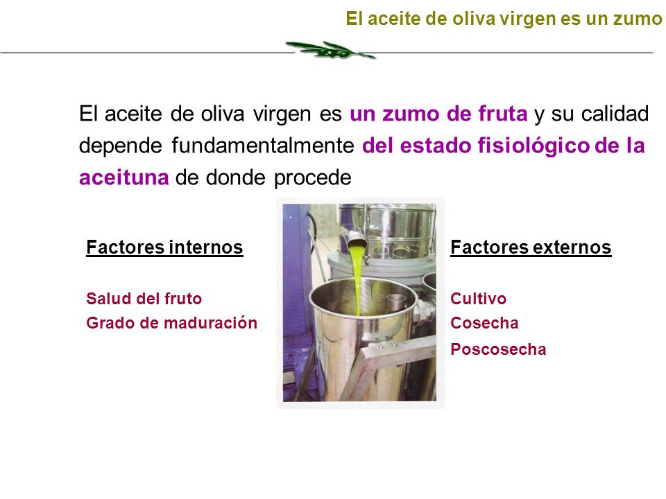 Factores internos Salud del fruto Grado de maduración