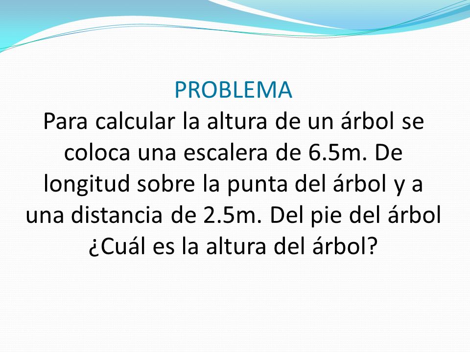 PROBLEMA Para calcular la altura de un árbol se coloca una escalera de 6.5m.