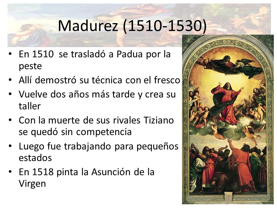 Madurez ( ) En 1510 se trasladó a Padua por la peste