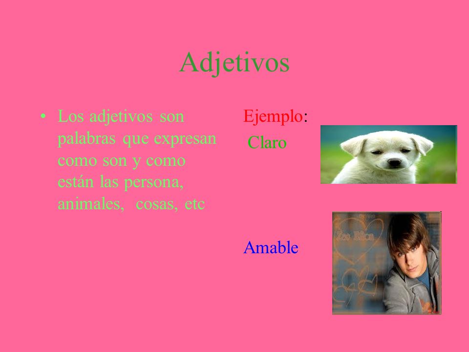 Adjetivos Los adjetivos son palabras que expresan como son y como están las persona, animales, cosas, etc.