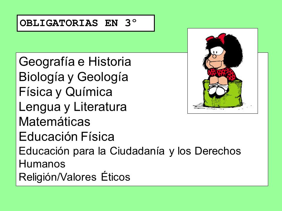 Geografía e Historia Biología y Geología Física y Química