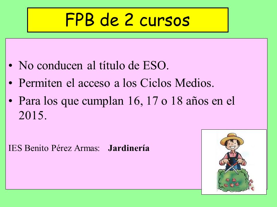 FPB de 2 cursos No conducen al título de ESO.