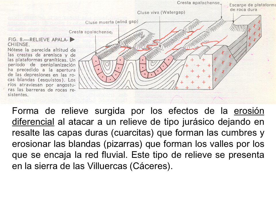 Forma de relieve surgida por los efectos de la erosión diferencial al atacar a un relieve de tipo jurásico dejando en resalte las capas duras (cuarcitas) que forman las cumbres y erosionar las blandas (pizarras) que forman los valles por los que se encaja la red fluvial.