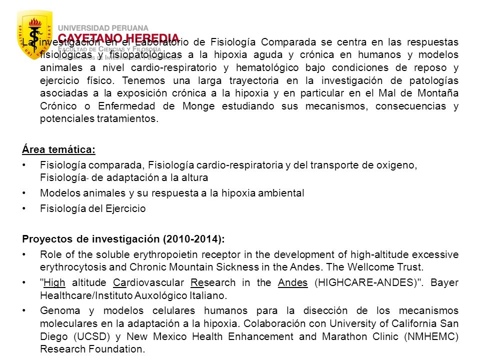 La investigación en el Laboratorio de Fisiología Comparada se centra en las respuestas fisiológicas y fisiopatológicas a la hipoxia aguda y crónica en humanos y modelos animales a nivel cardio-respiratorio y hematológico bajo condiciones de reposo y ejercicio físico. Tenemos una larga trayectoria en la investigación de patologías asociadas a la exposición crónica a la hipoxia y en particular en el Mal de Montaña Crónico o Enfermedad de Monge estudiando sus mecanismos, consecuencias y potenciales tratamientos.