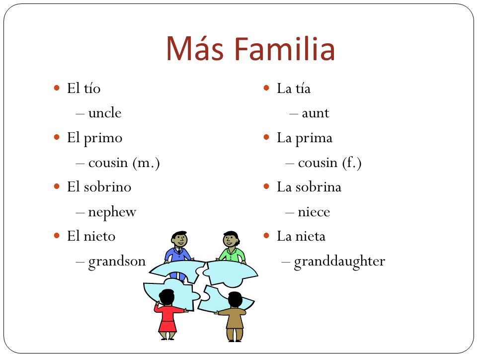 Más Familia El tío – uncle El primo – cousin (m.) El sobrino – nephew