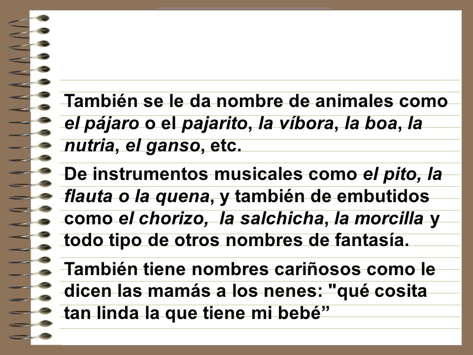 También se le da nombre de animales como el pájaro o el pajarito, la víbora, la boa, la nutria, el ganso, etc.