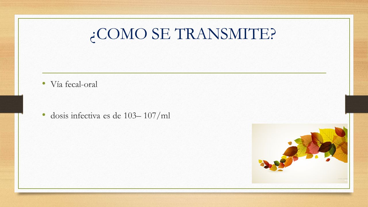 ¿COMO SE TRANSMITE Vía fecal-oral dosis infectiva es de 103– 107/ml
