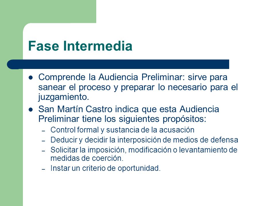 Fase Intermedia Comprende la Audiencia Preliminar: sirve para sanear el proceso y preparar lo necesario para el juzgamiento.