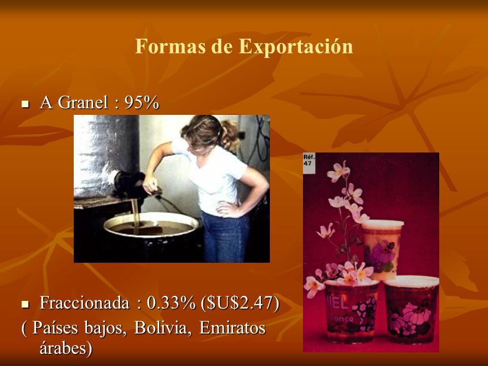 Formas de Exportación A Granel : 95% Fraccionada : 0.33% ($U$2.47)