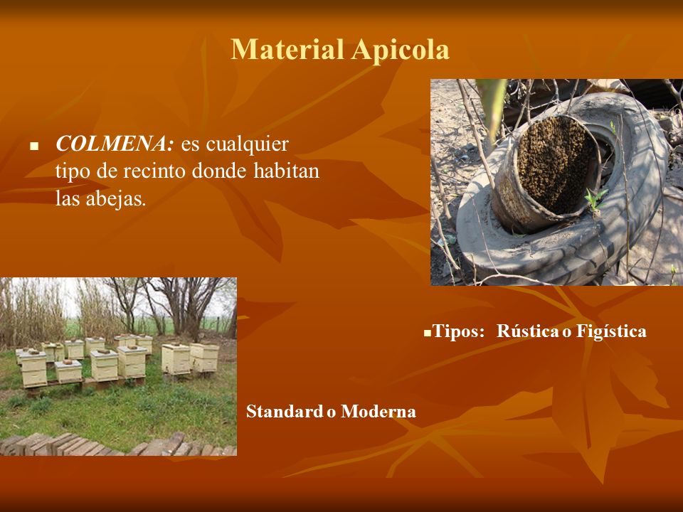 Material Apicola COLMENA: es cualquier tipo de recinto donde habitan las abejas. Tipos: Rústica o Figística.