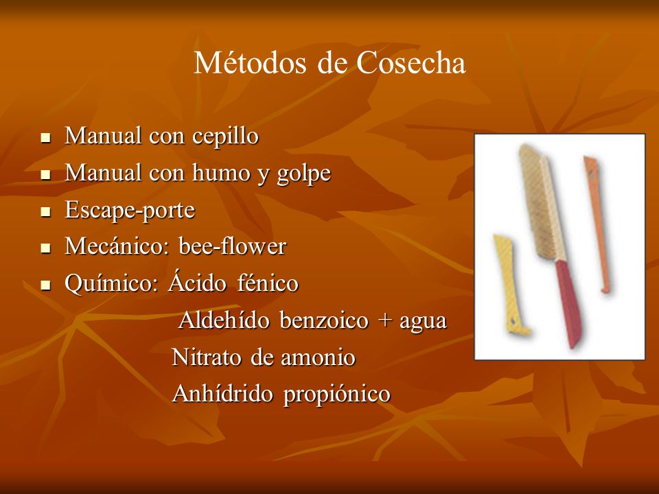 Métodos de Cosecha Manual con cepillo Manual con humo y golpe