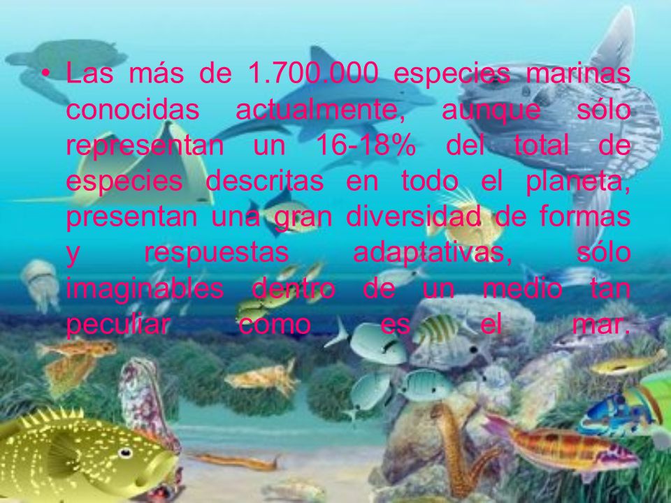 Las más de especies marinas conocidas actualmente, aunque sólo representan un 16-18% del total de especies descritas en todo el planeta, presentan una gran diversidad de formas y respuestas adaptativas, sólo imaginables dentro de un medio tan peculiar como es el mar.