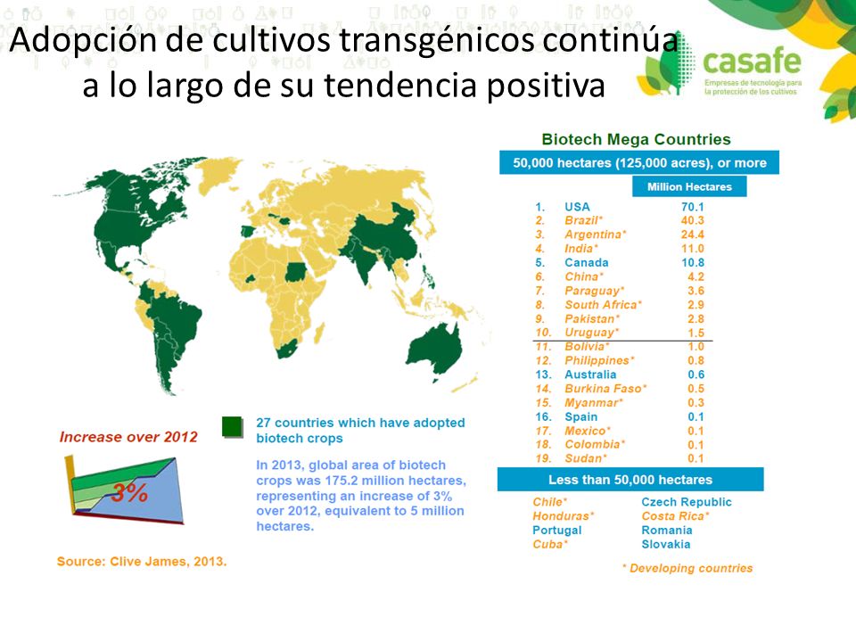 Adopción de cultivos transgénicos continúa a lo largo de su tendencia positiva