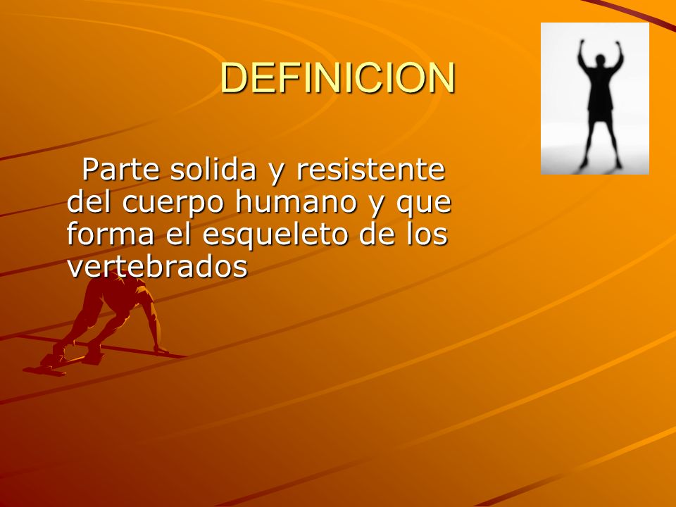 DEFINICION Parte solida y resistente del cuerpo humano y que forma el esqueleto de los vertebrados