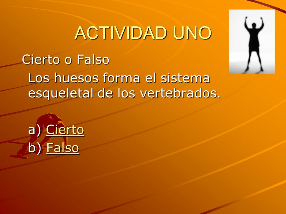 ACTIVIDAD UNO Cierto o Falso Los huesos forma el sistema esqueletal de los vertebrados.