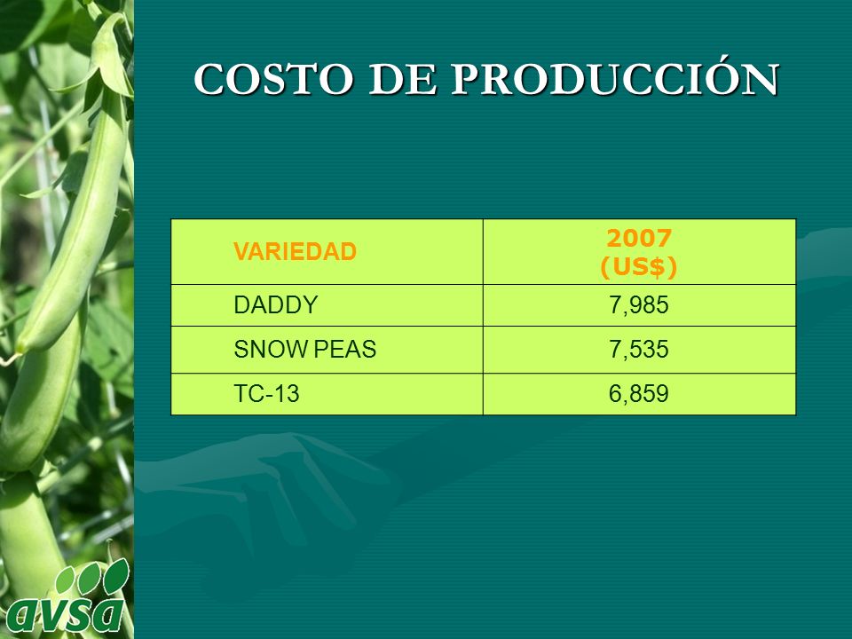 COSTO DE PRODUCCIÓN VARIEDAD 2007 (US$) DADDY 7,985 SNOW PEAS 7,535
