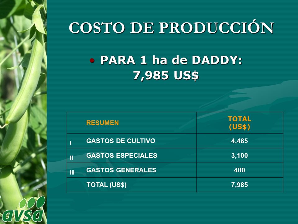 COSTO DE PRODUCCIÓN PARA 1 ha de DADDY: 7,985 US$ RESUMEN TOTAL (US$)