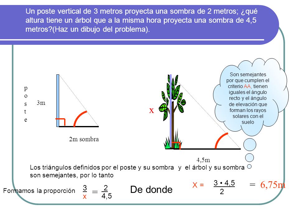 Un poste vertical de 3 metros proyecta una sombra de 2 metros; ¿qué altura tiene un árbol que a la misma hora proyecta una sombra de 4,5 metros (Haz un dibujo del problema).