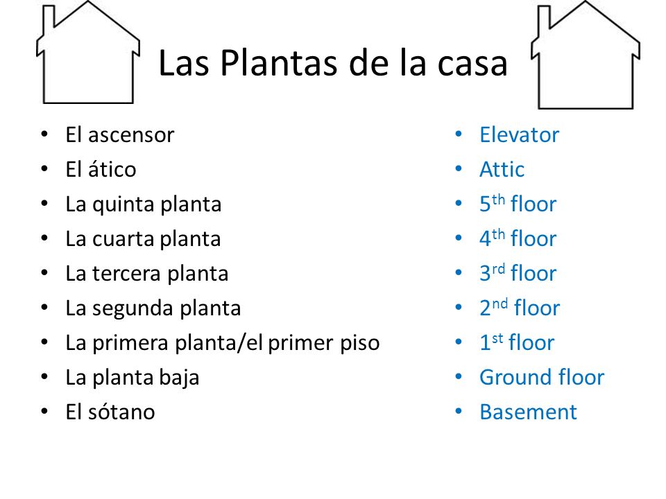 Las Plantas de la casa El ascensor El ático La quinta planta