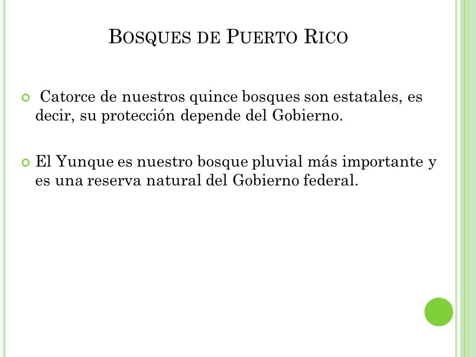 Bosques de Puerto Rico Catorce de nuestros quince bosques son estatales, es decir, su protección depende del Gobierno.