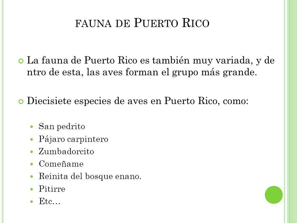 fauna de Puerto Rico La fauna de Puerto Rico es también muy variada, y de ntro de esta, las aves forman el grupo más grande.